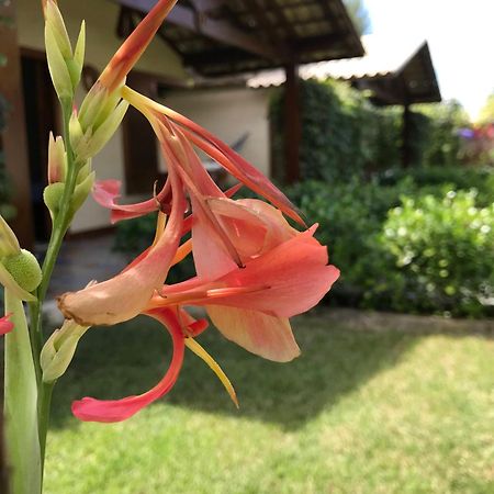 Pousada Rancho Paraiso Pôrto de Pedras Εξωτερικό φωτογραφία