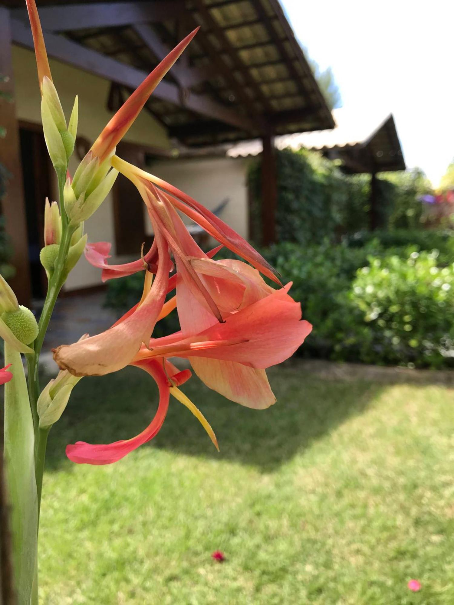 Pousada Rancho Paraiso Pôrto de Pedras Εξωτερικό φωτογραφία